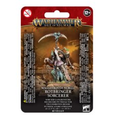 83-61 Maggotkin of Nurgle Rotbringer Sorcerer